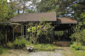House in the forest DaLat